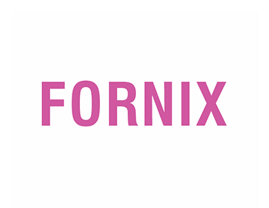 FORNIX