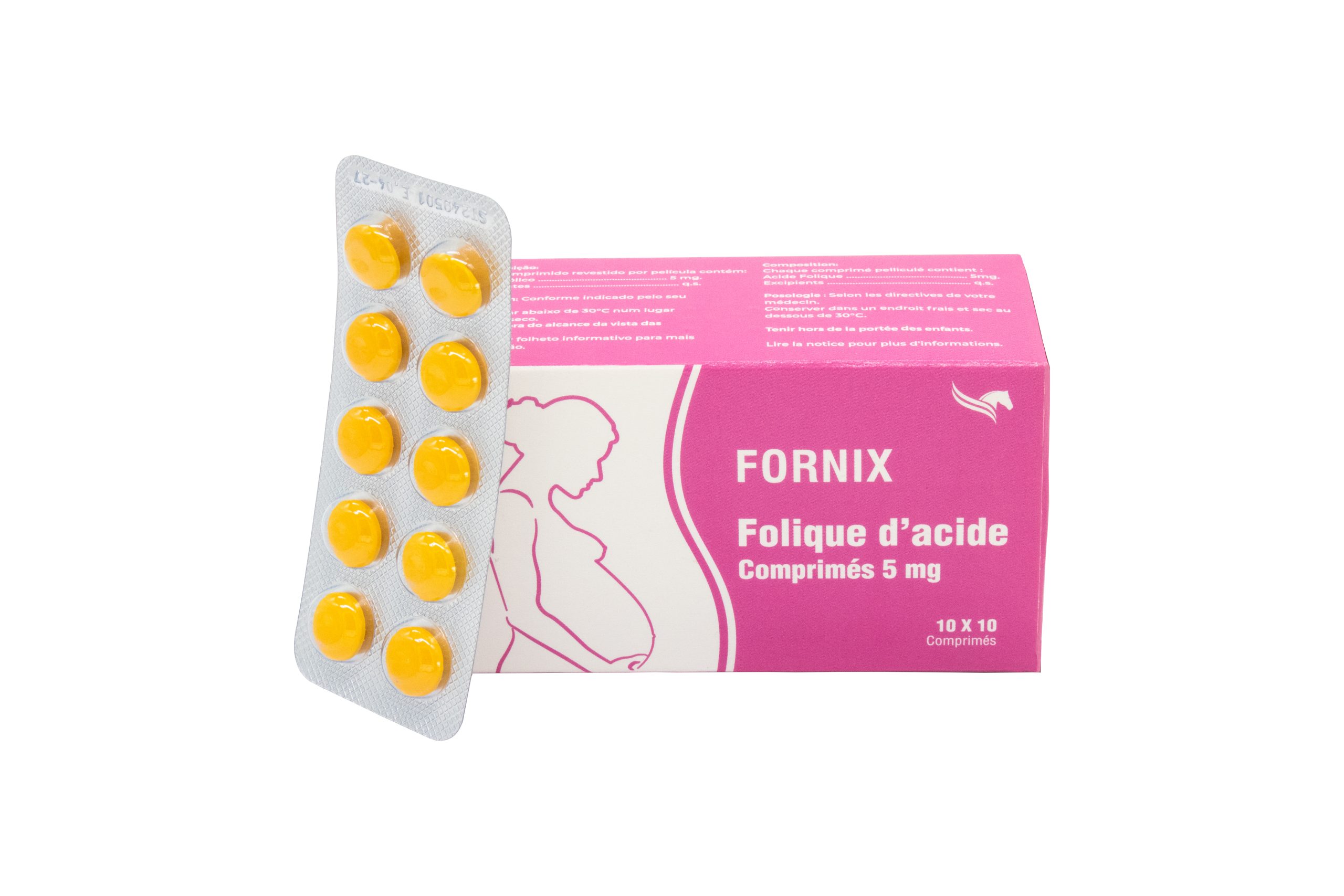 Fornix