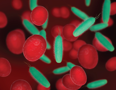 Antibacterial
