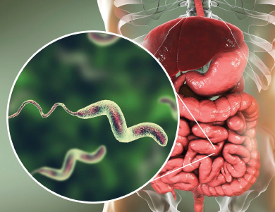 Antidiarrheal