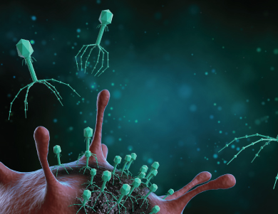 Antibiotic (Penicillin)