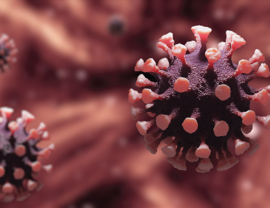 Antifungal