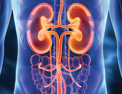 Diuretics